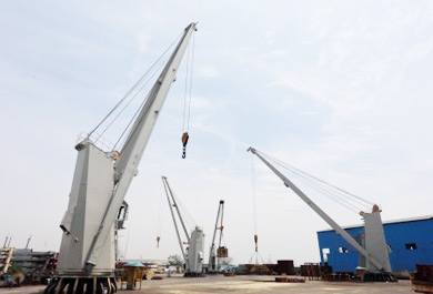 Marine ship crane