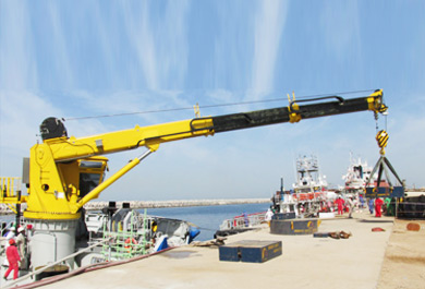 Hydraulic Telescopic Boom Crane